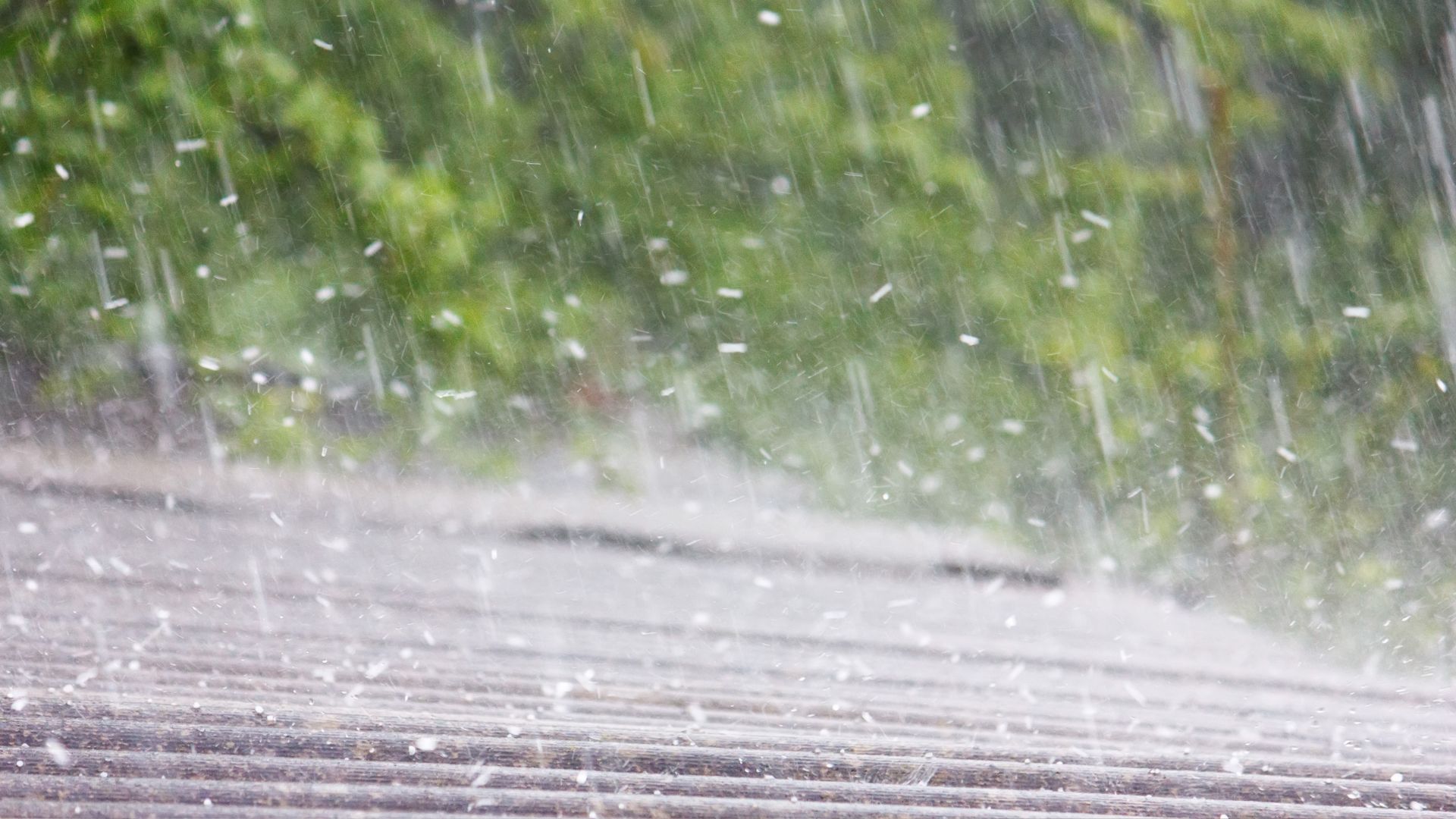 A close up of a rain gutter with trees in the background